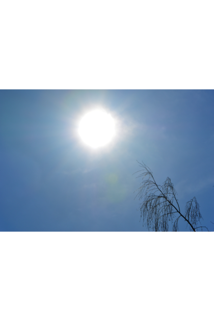 暑い夏の画像